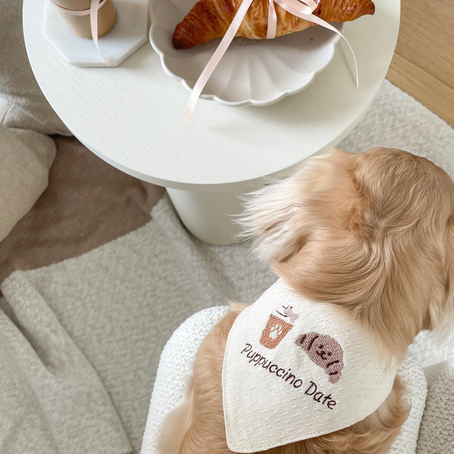 Puppuccino Date | Bandana