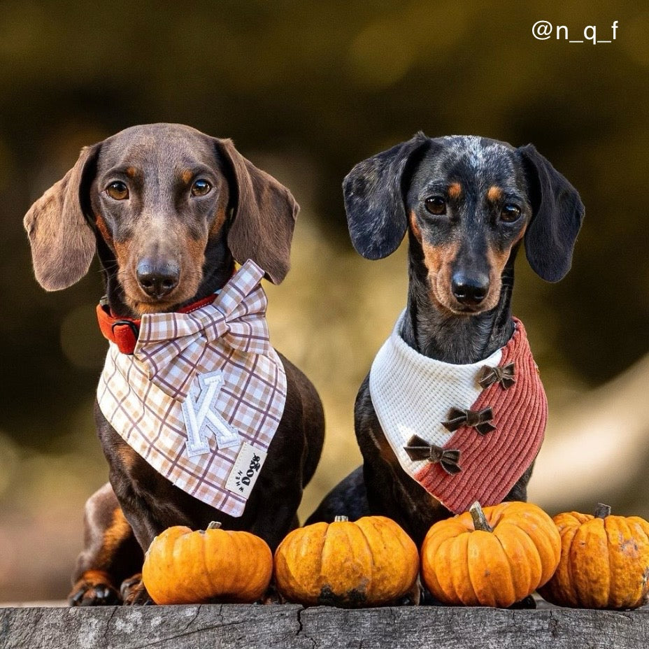 Pumpkin Spice Bandana | AW/25 Edit