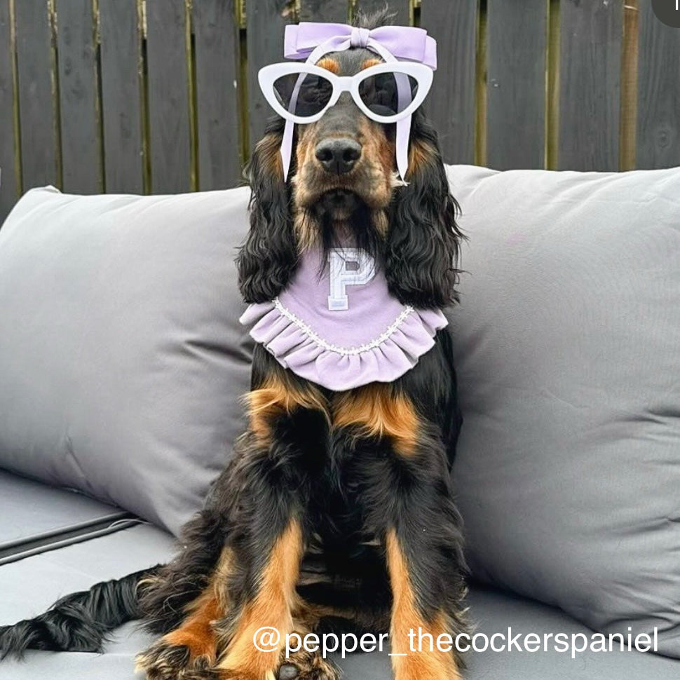 Spring Varsity Bandana | Spring Fling