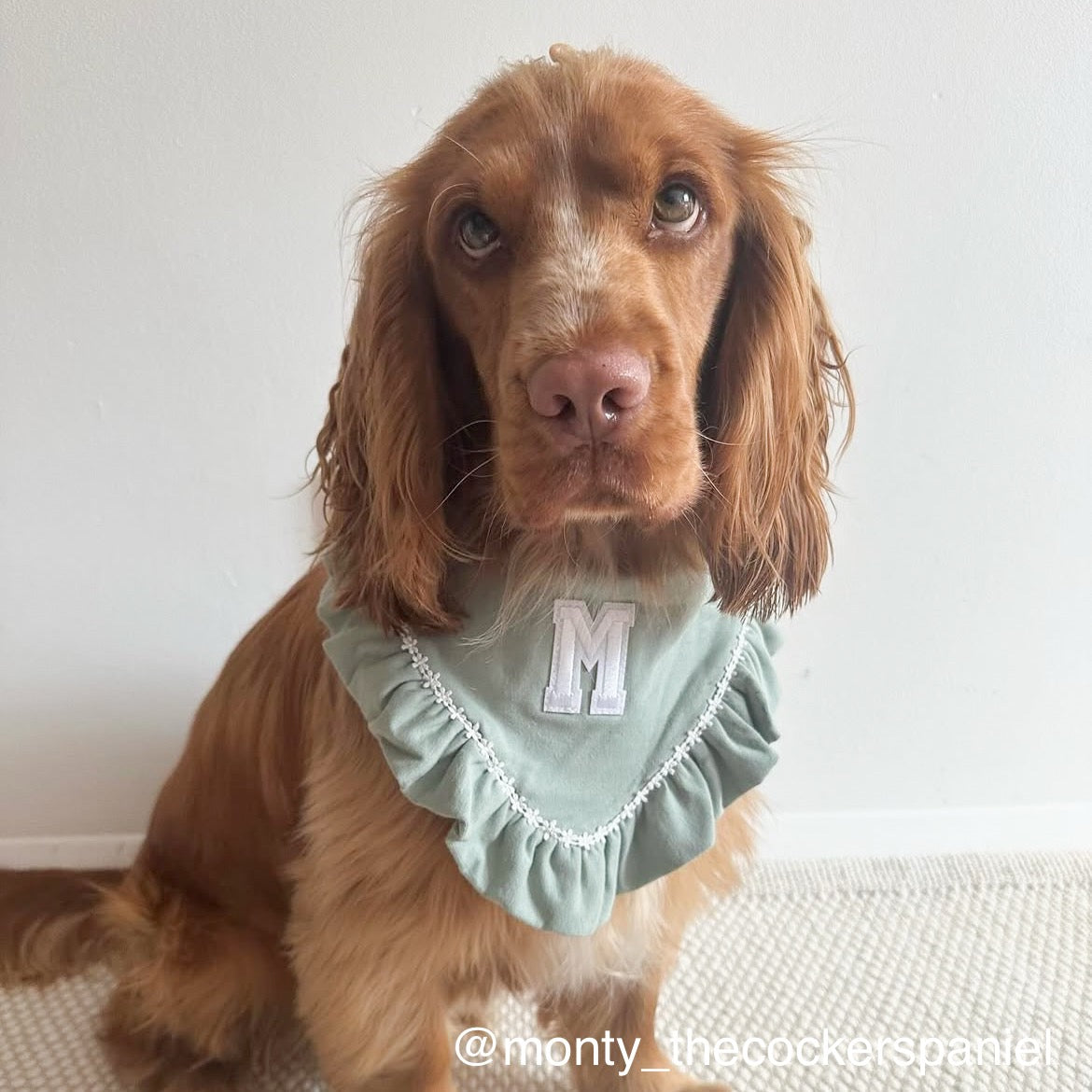 Spring Varsity Bandana | Spring Fling