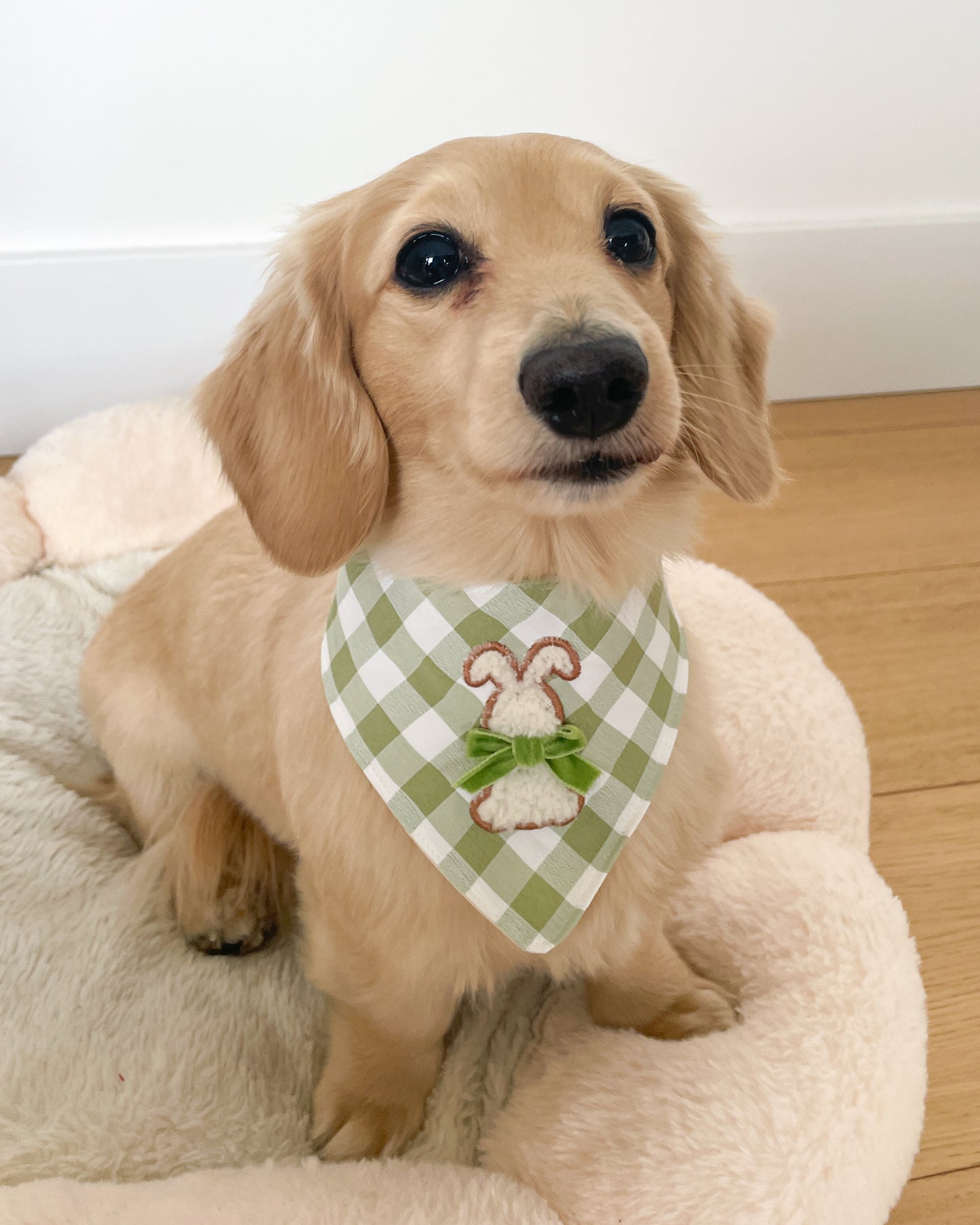Hoppy Bunny Bandana 🐰💚🤍