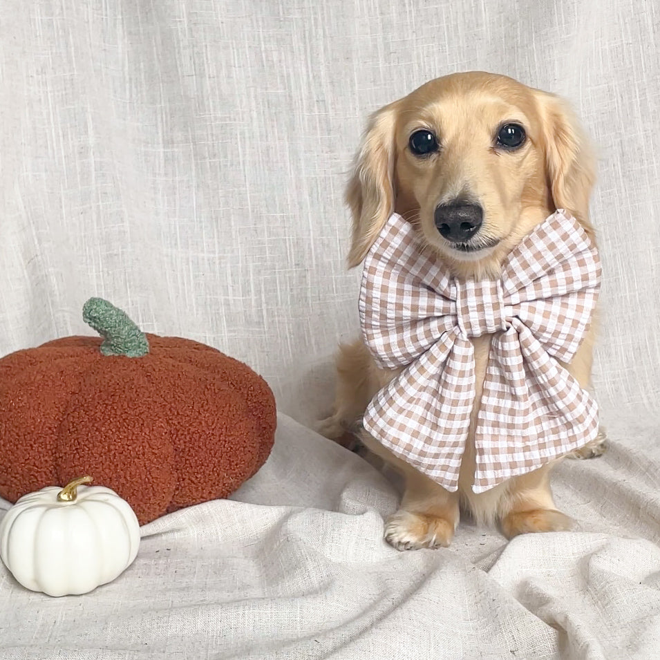 Pecan Pie Bow Tie | AW/25 Edit