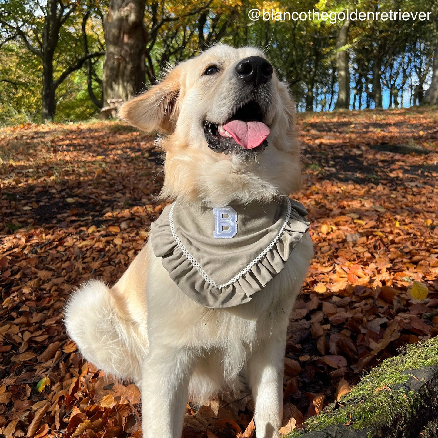 Autumn Breeze Bandana | Cinnamon Lane Collection