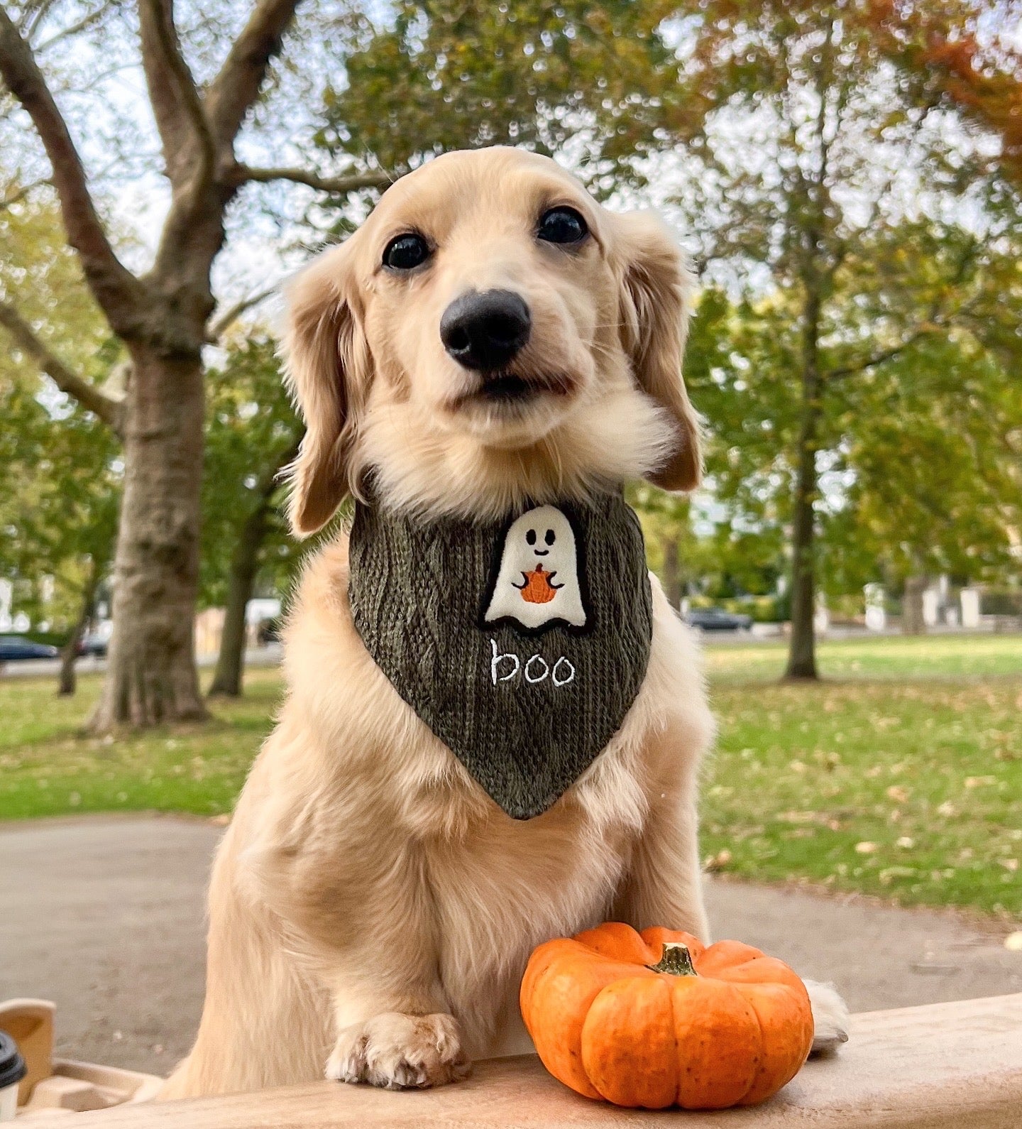 Boo Bandana | AW/25 Edit