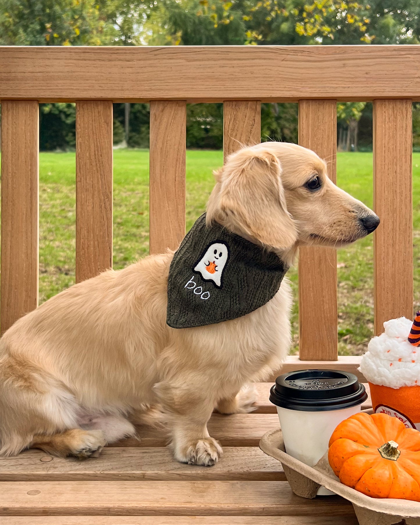 Boo Bandana | AW/25 Edit
