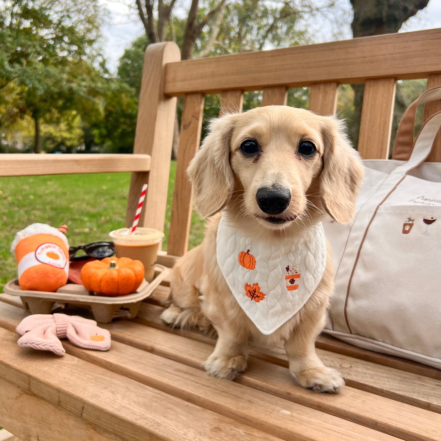 Pumpkin Patch Bandana | AW/25 Edit