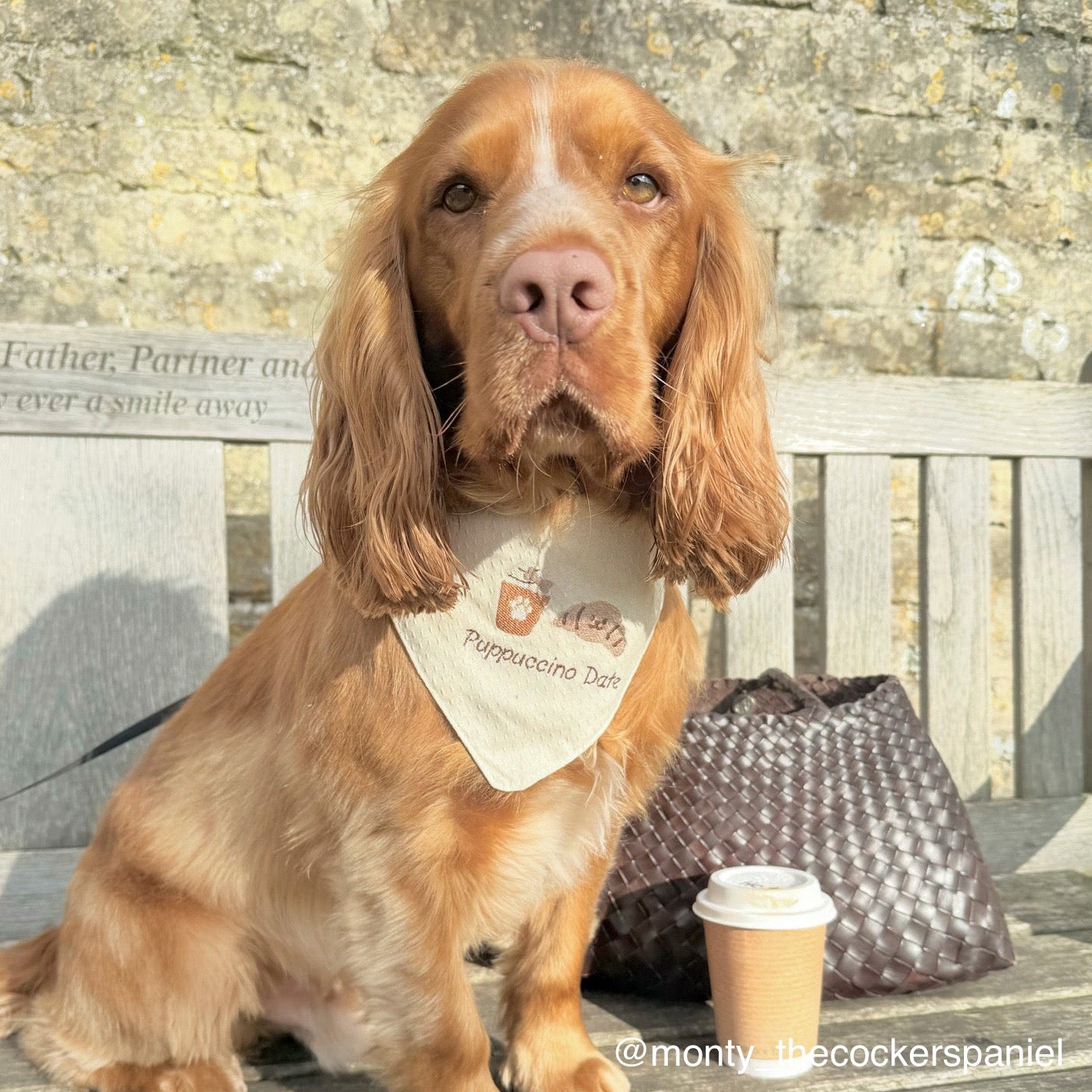 Puppuccino Date | Bandana