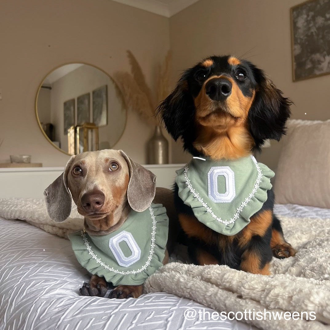Spring Varsity Bandana | Spring Fling