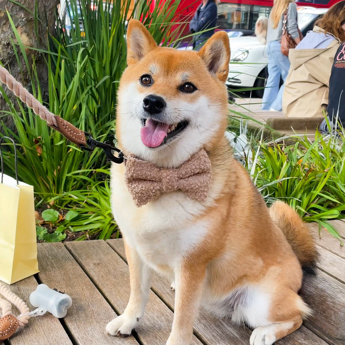 Teddy Bow Tie | Cinnamon Lane Collection
