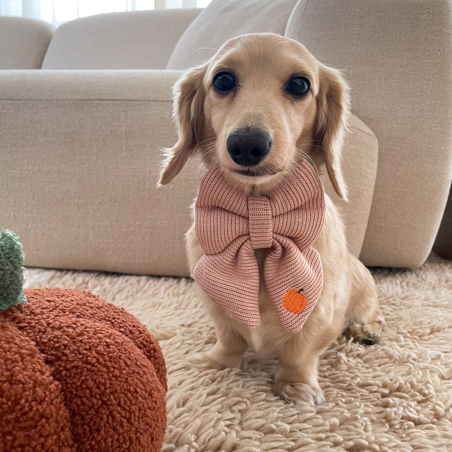 Autumn Knit Sailor Bow | AW/25 Edit