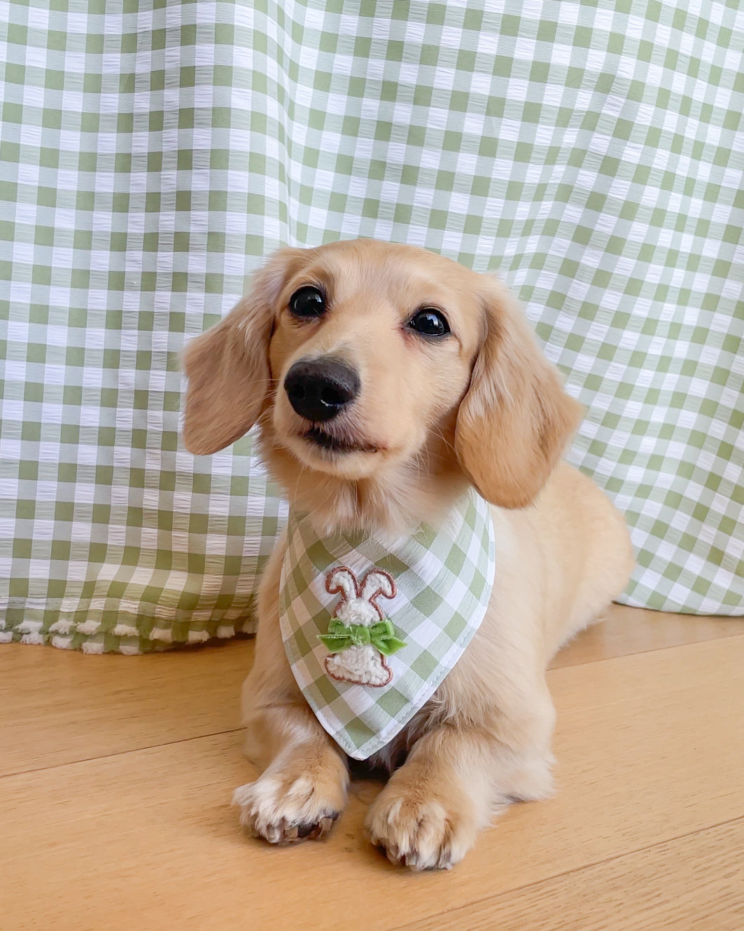 Hoppy Bunny Bandana 🐰💚🤍