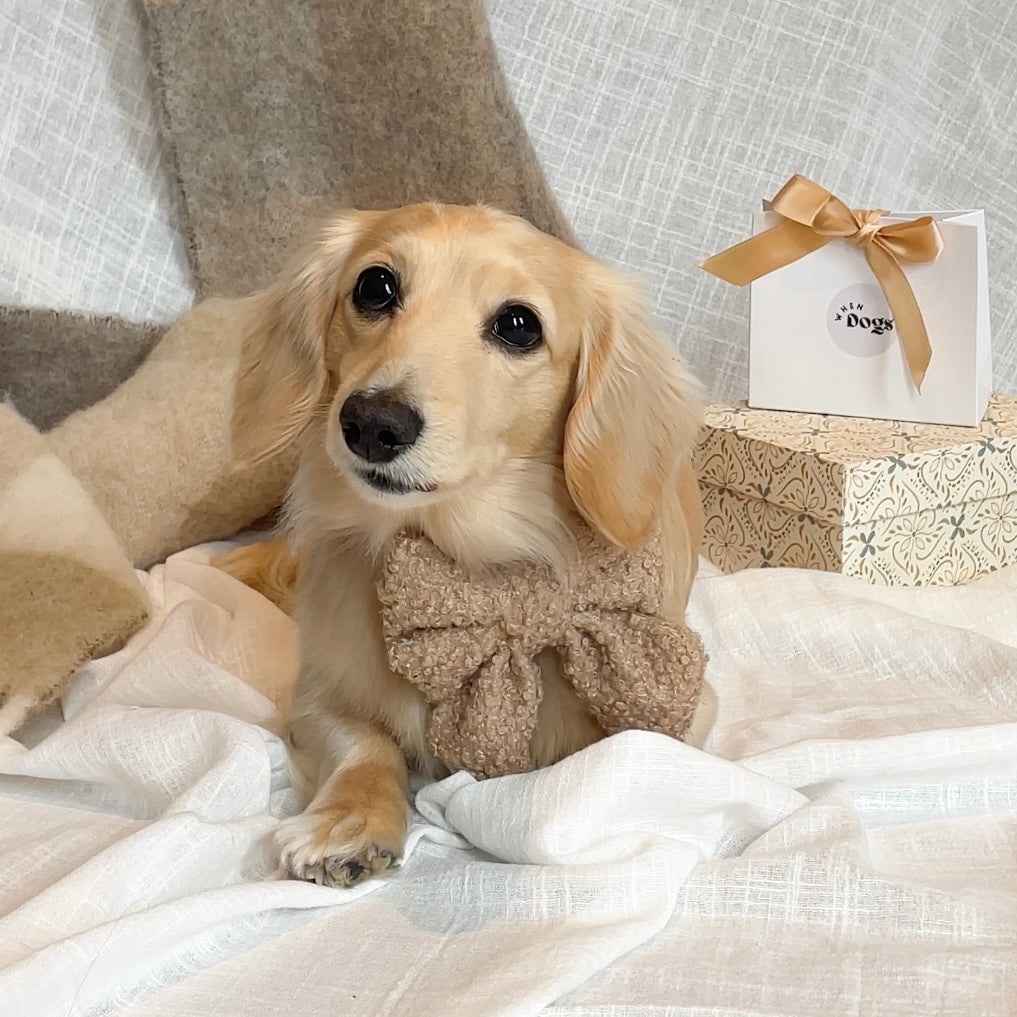 Teddy Sailor Bow | Cinnamon Lane Collection