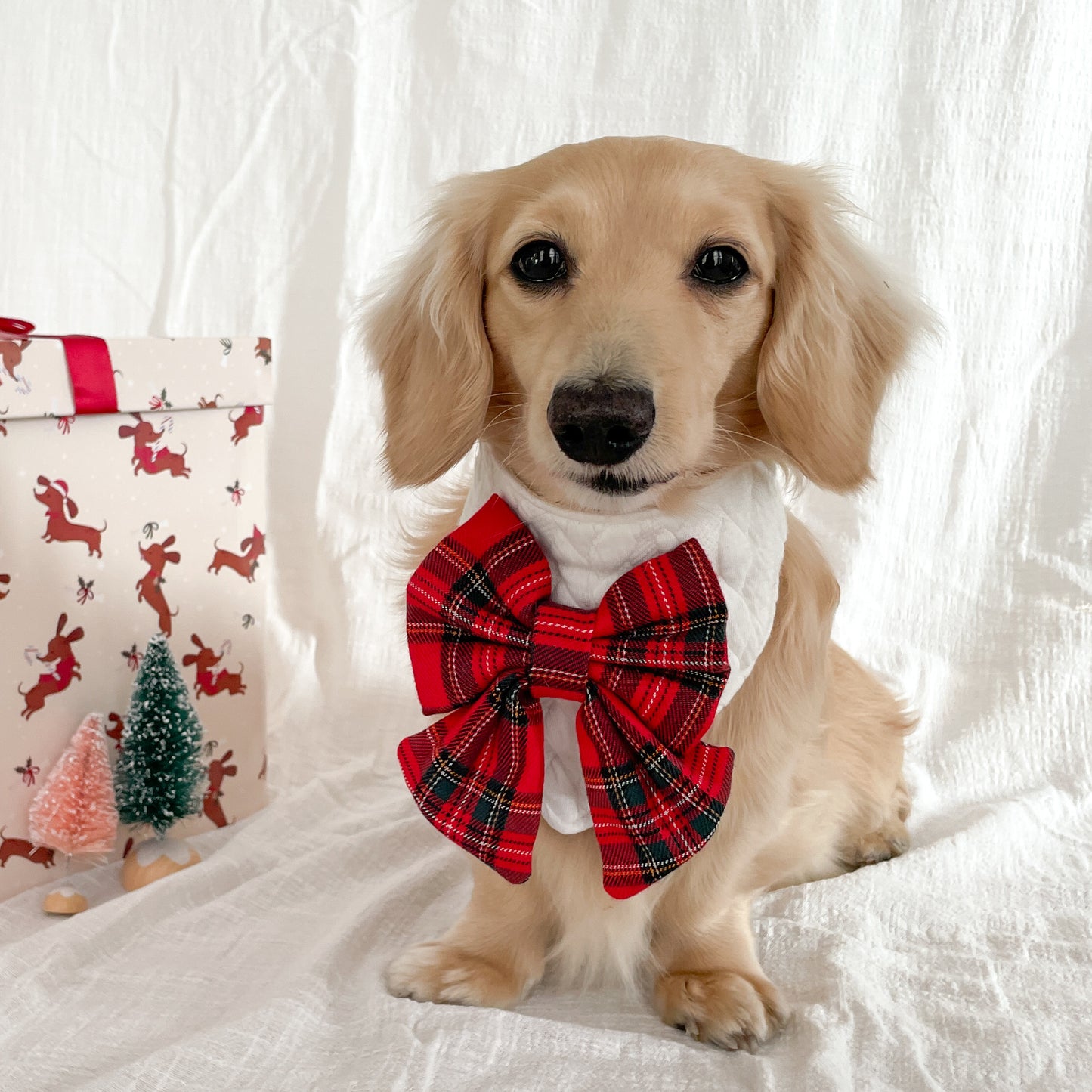 Belle Noel Bandana | Holly & Jolly