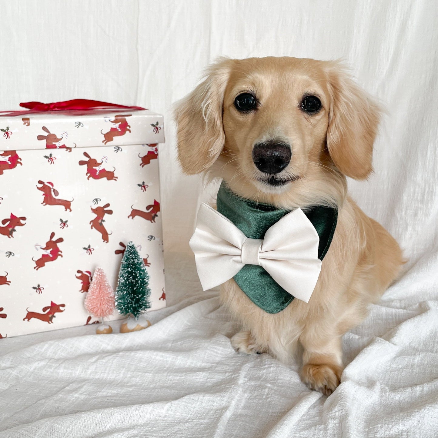 Mistletoe Bandana | Holly & Jolly