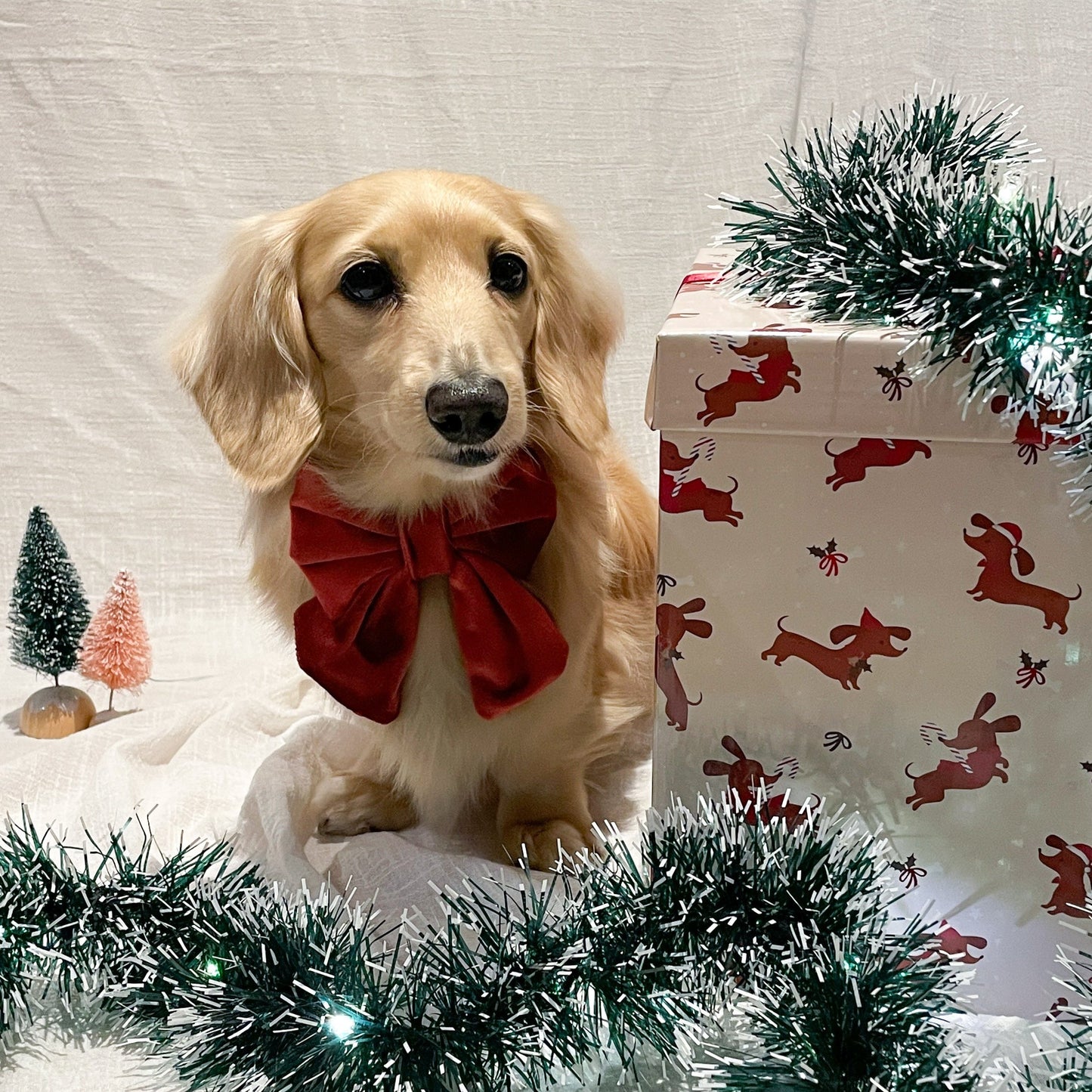 Evergreen Sailor Bow | Festive Collection