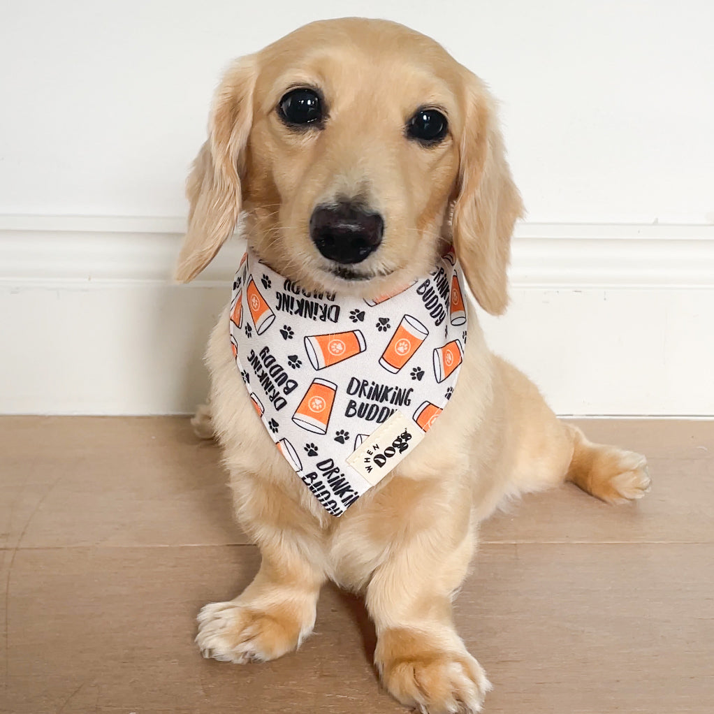 Drinking Buddy & Pup Cups | Reversible Snap-On Bandana