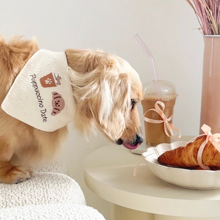 Puppuccino Date Bandana | Spring Fling