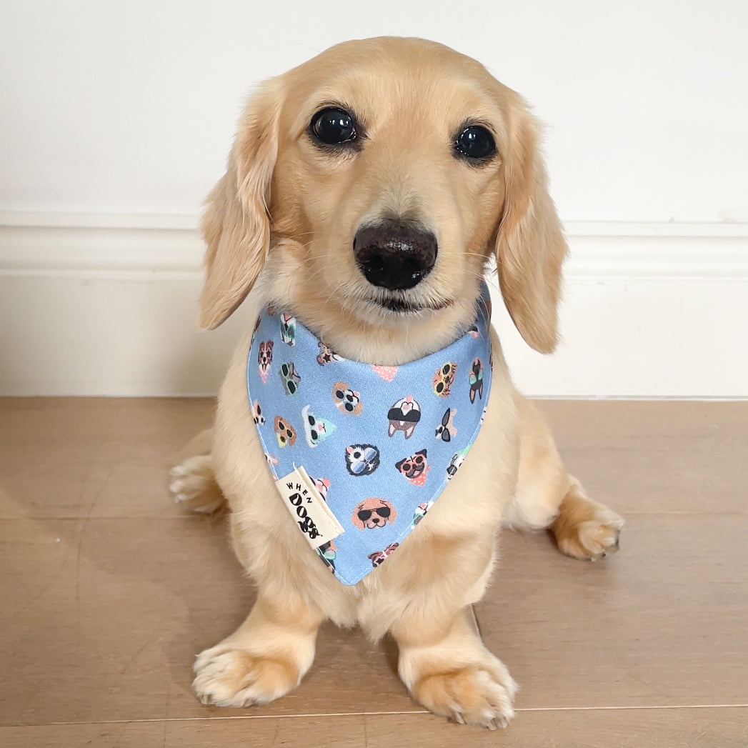 Yappy Hour & Shady Dogs | Reversible Snap-On Bandana