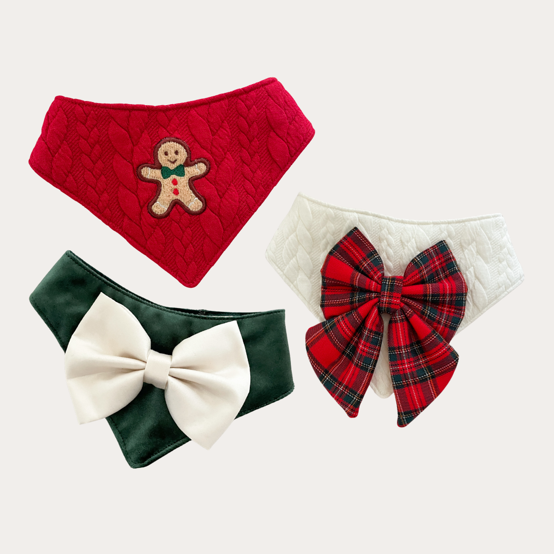 Festive Bandana Bundle