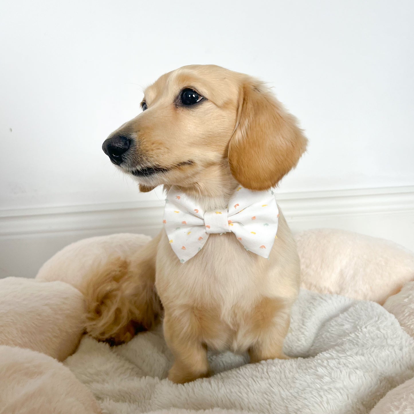 Vanilla Sprinkles Bow Tie