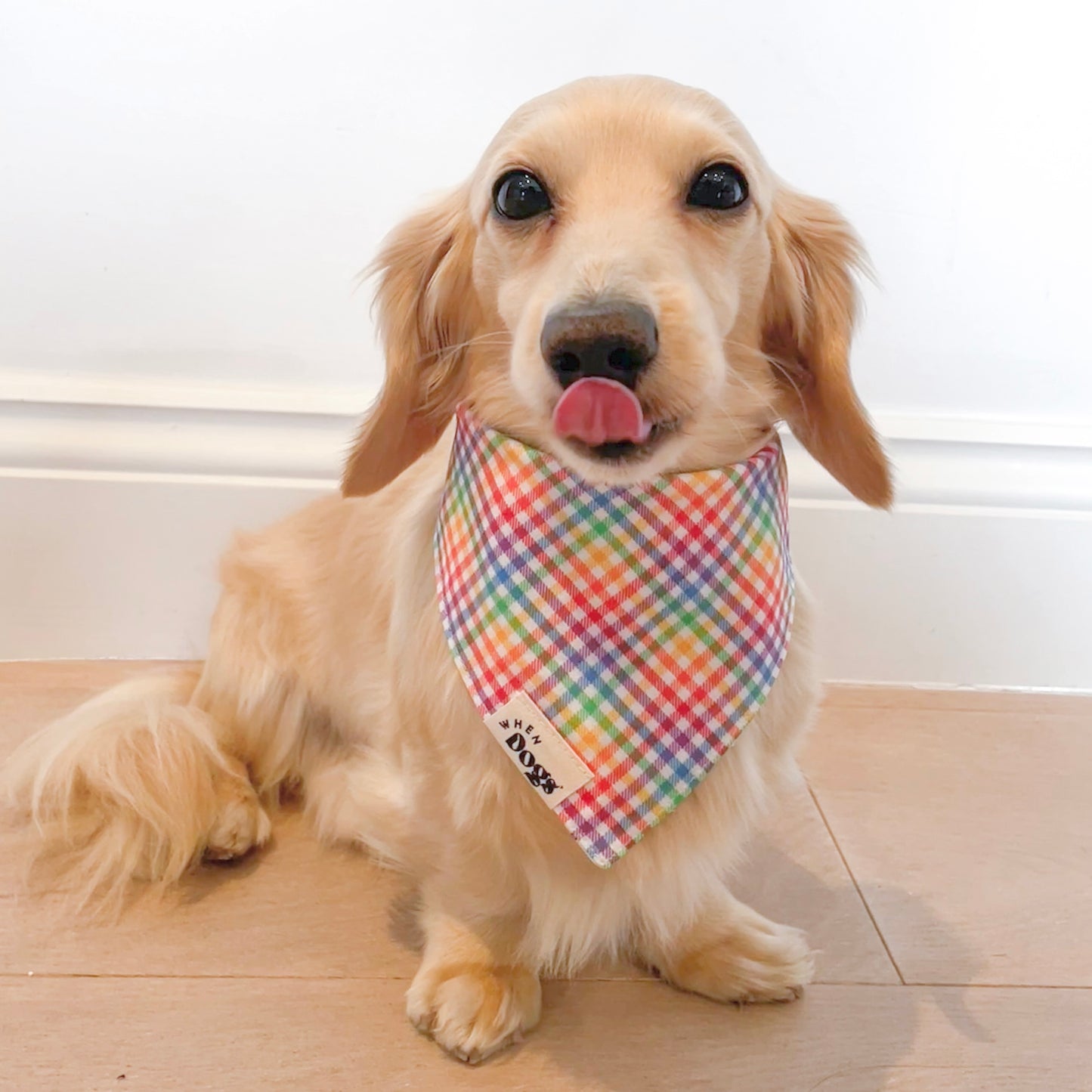 Spread Love Like Dog Hair & Rainbow Plaid | Reversible Bandana