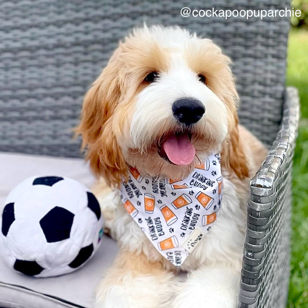 Pup Cups & Drinking Buddy | Reversible Snap-On Bandana