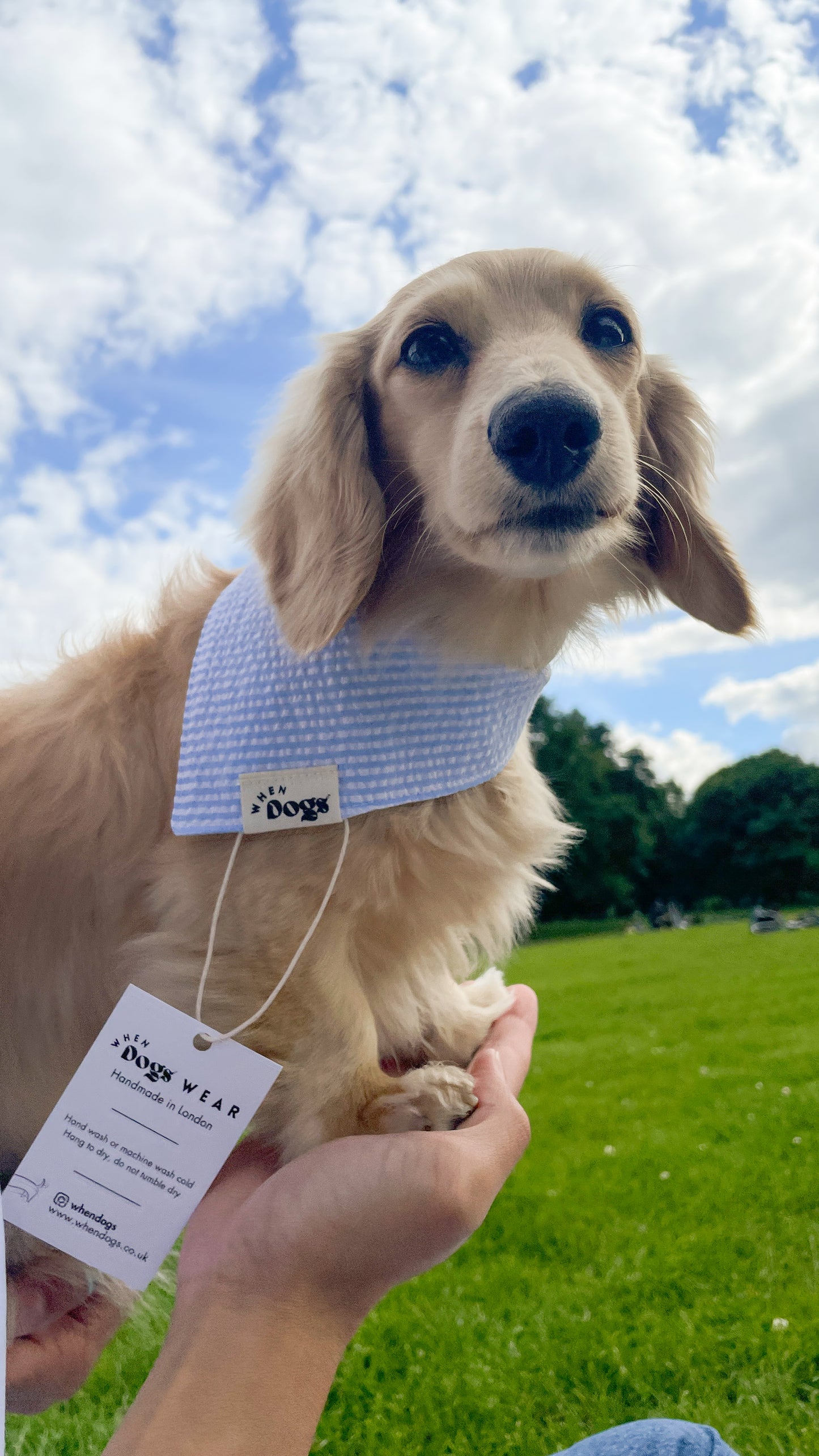 Blue Sky Bandana | Summer Breeze Collection