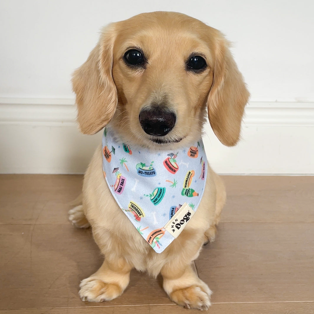 Shady Dogs & Yappy Hour | Reversible Snap-On Bandana