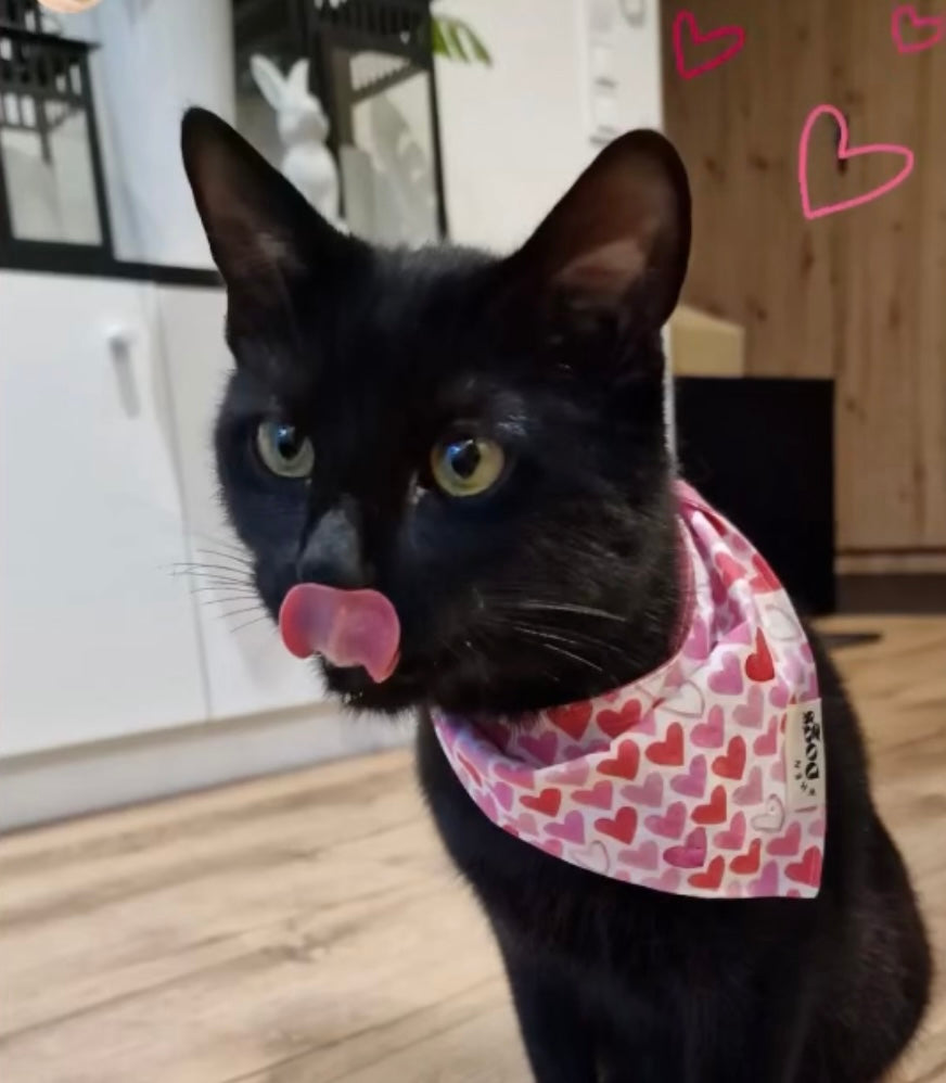 Valentine Bandana