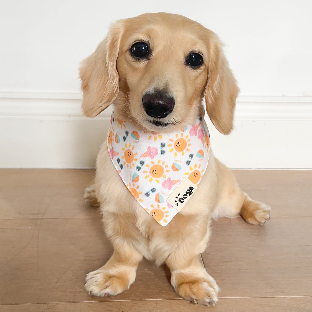 Sunny Days & Picnic Plaid | Reversible Snap-On Bandana