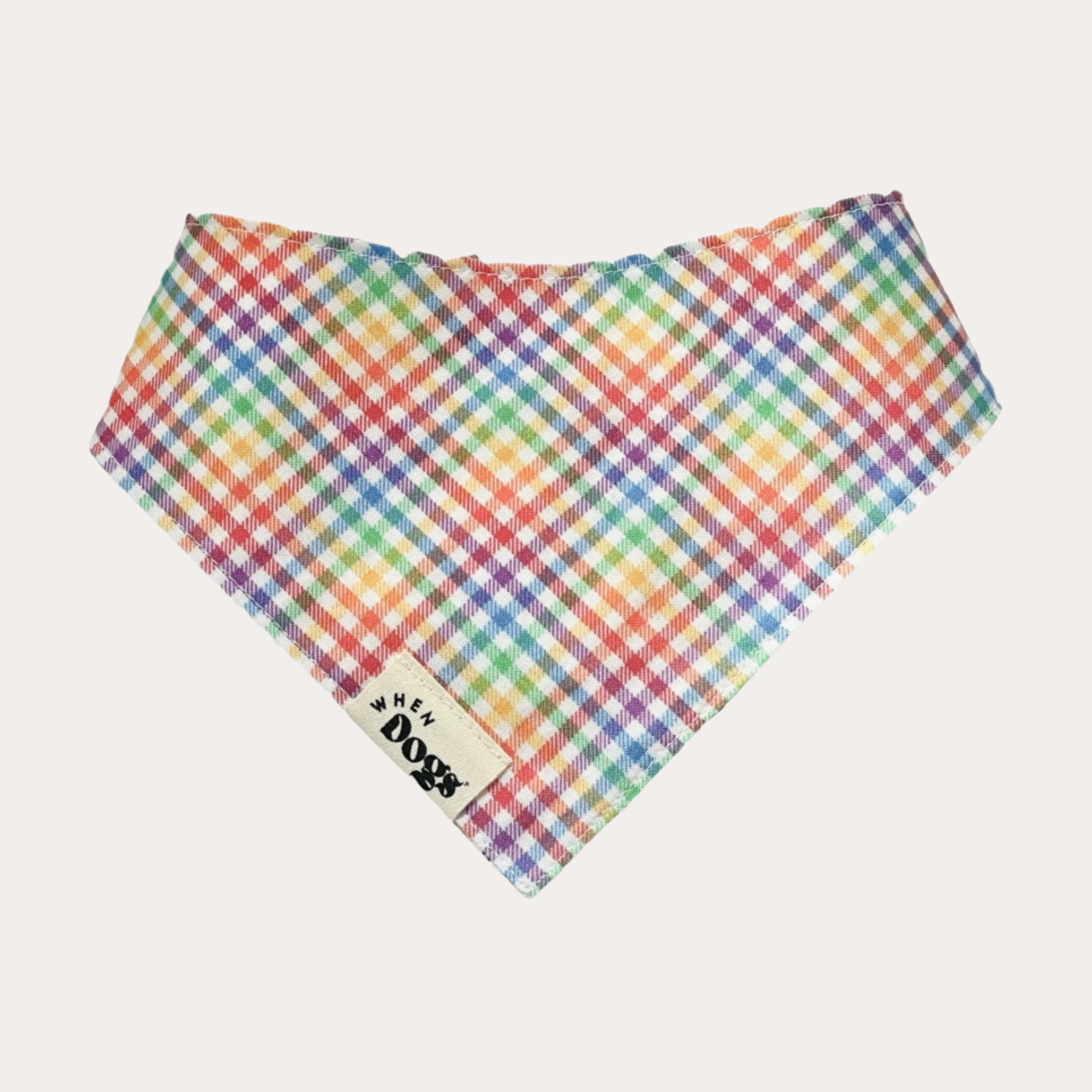 Spread Love Like Dog Hair & Rainbow Plaid | Reversible Bandana