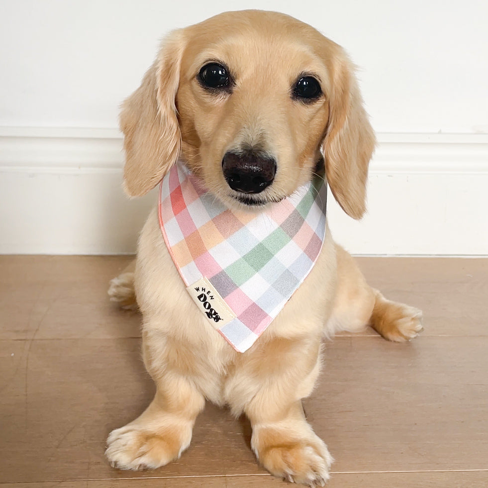 Picnic Plaid & Sunny Days | Reversible Snap-On Bandana