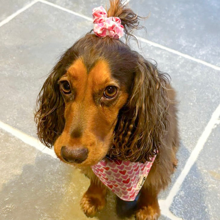 Valentine Bandana