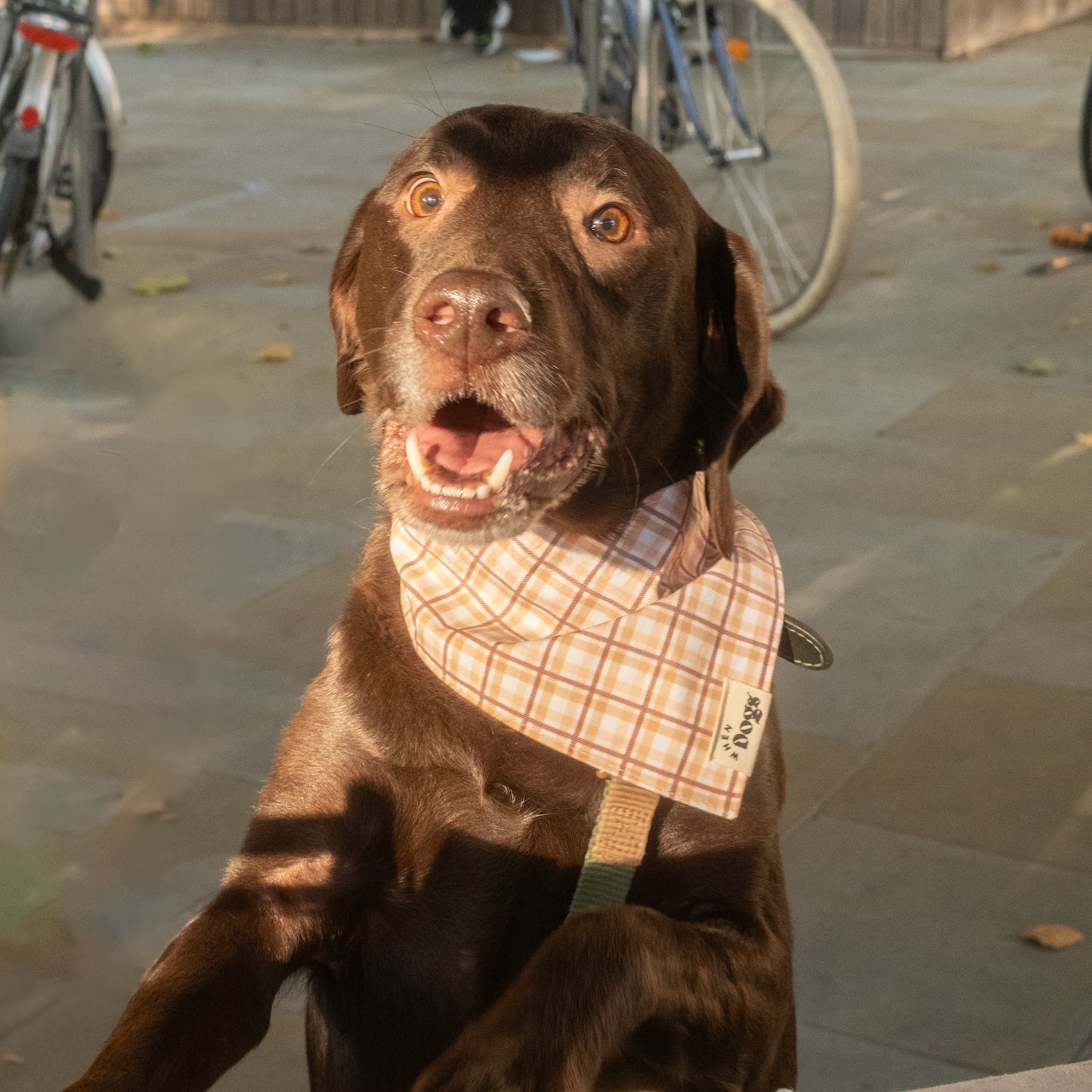 Maple Leaves Bandana | Cinnamon Lane Collection