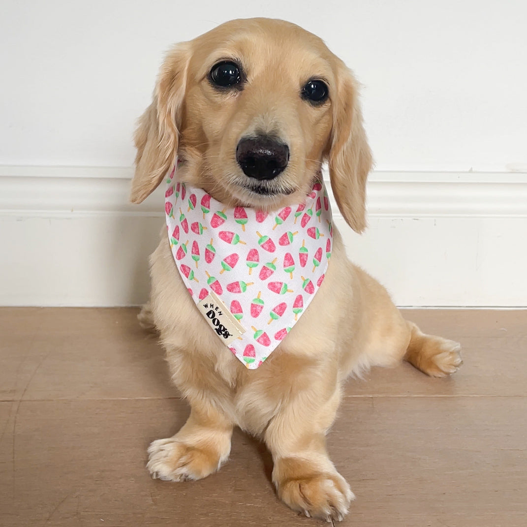 Popsicles & Watermelon | Reversible Snap-On Bandana