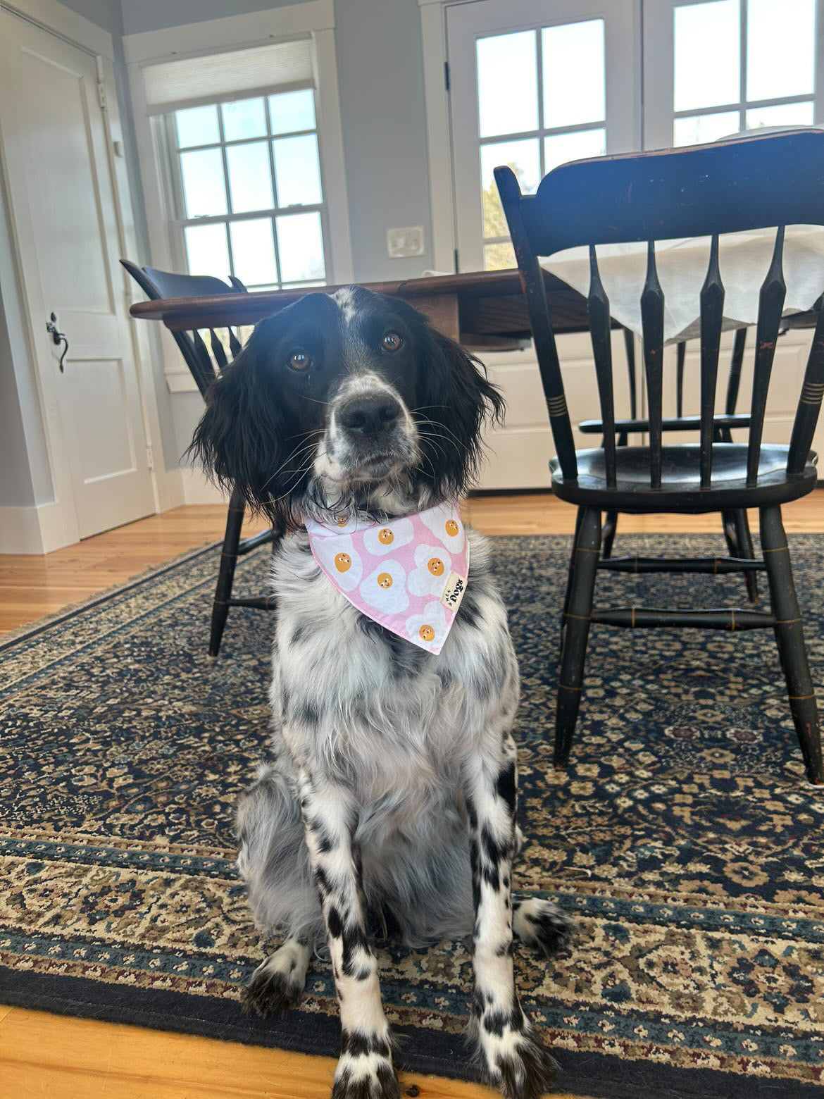 Sunny Side Up Bandana