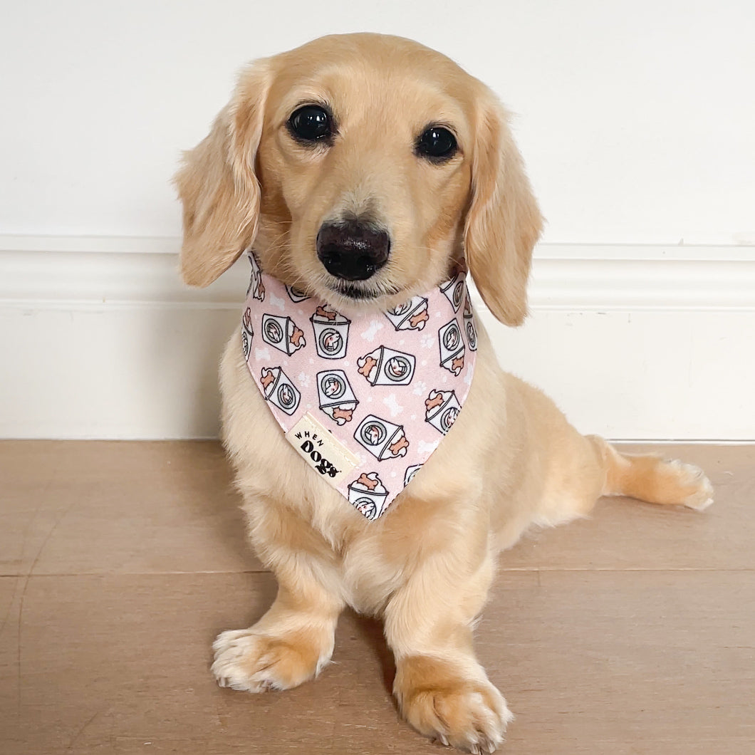 Drinking Buddy & Pup Cups | Reversible Snap-On Bandana