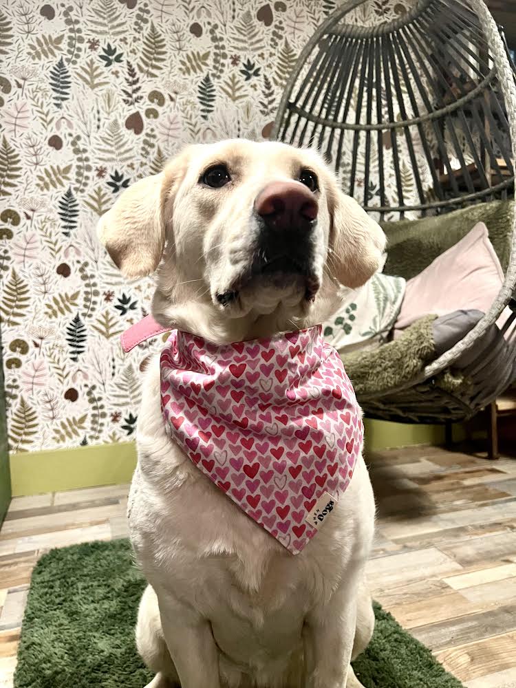 Valentine Bandana