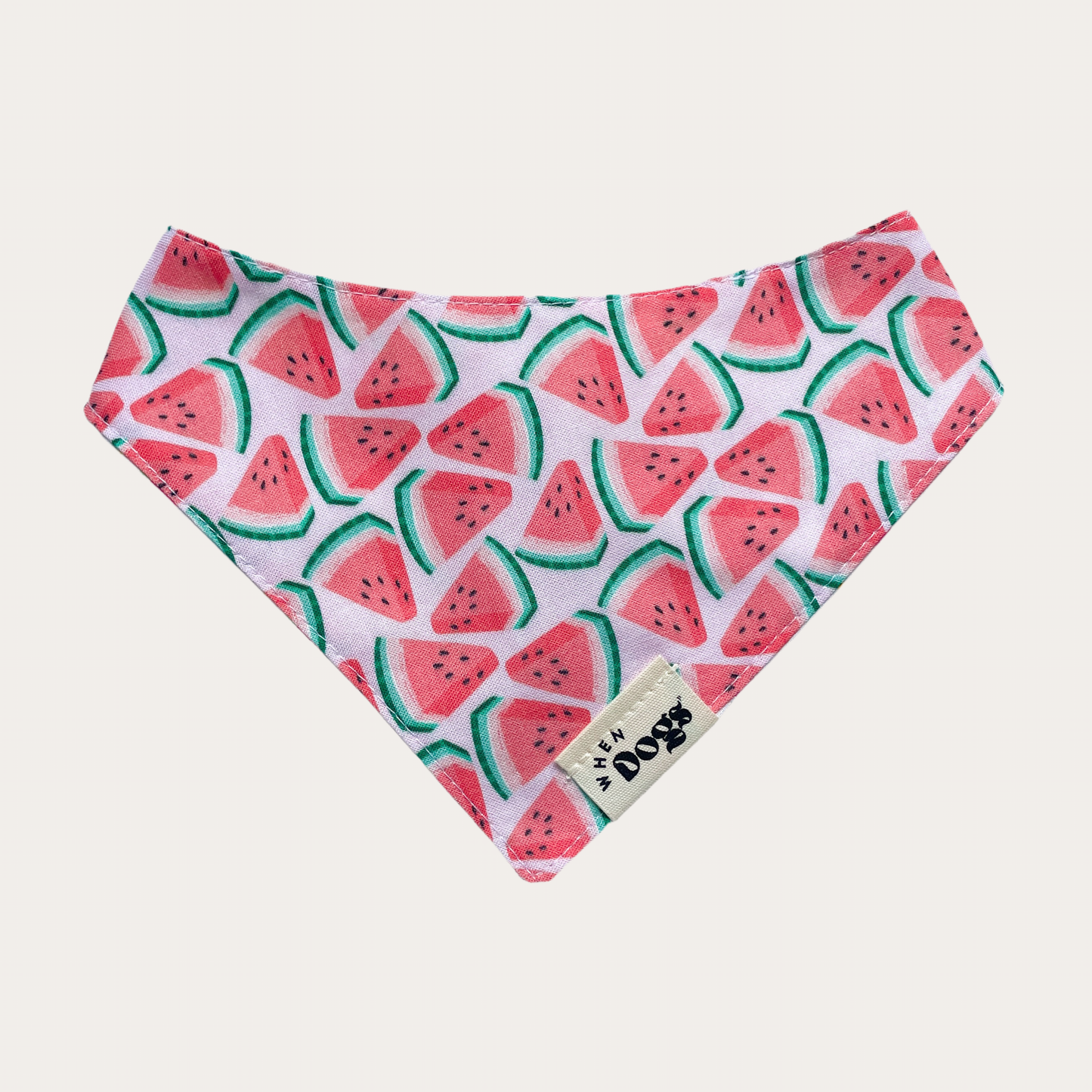 Popsicles & Watermelon | Reversible Snap-On Bandana