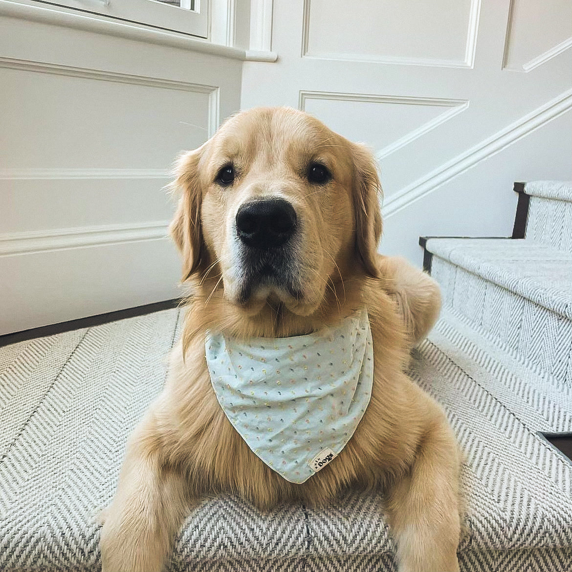 Mint Sprinkles Bandana & Scrunchie Set