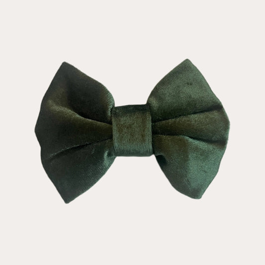 Evergreen Bow Tie | Holly & Jolly