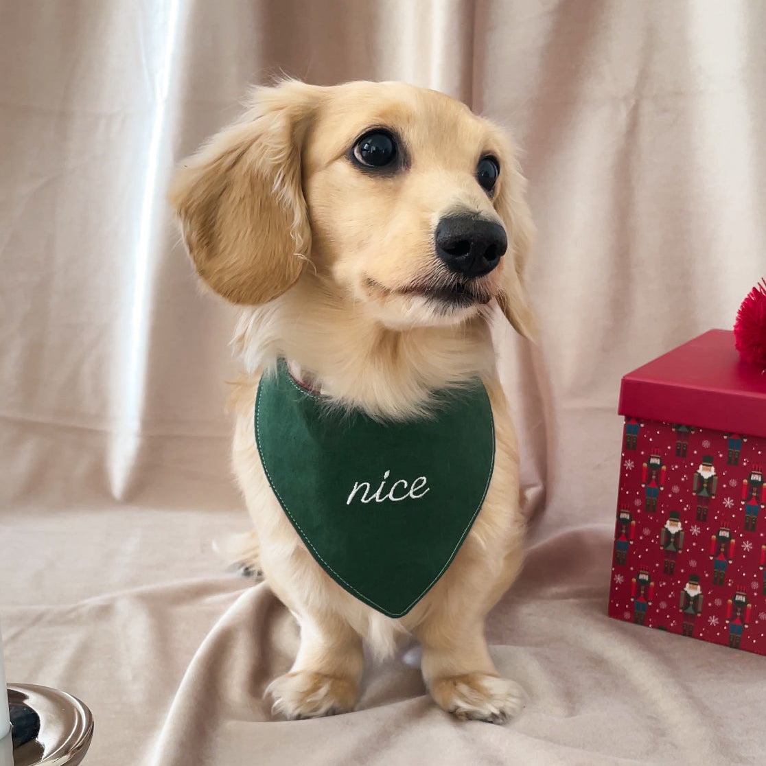 Naughty or Nice Reversible Bandana | Festive Collection