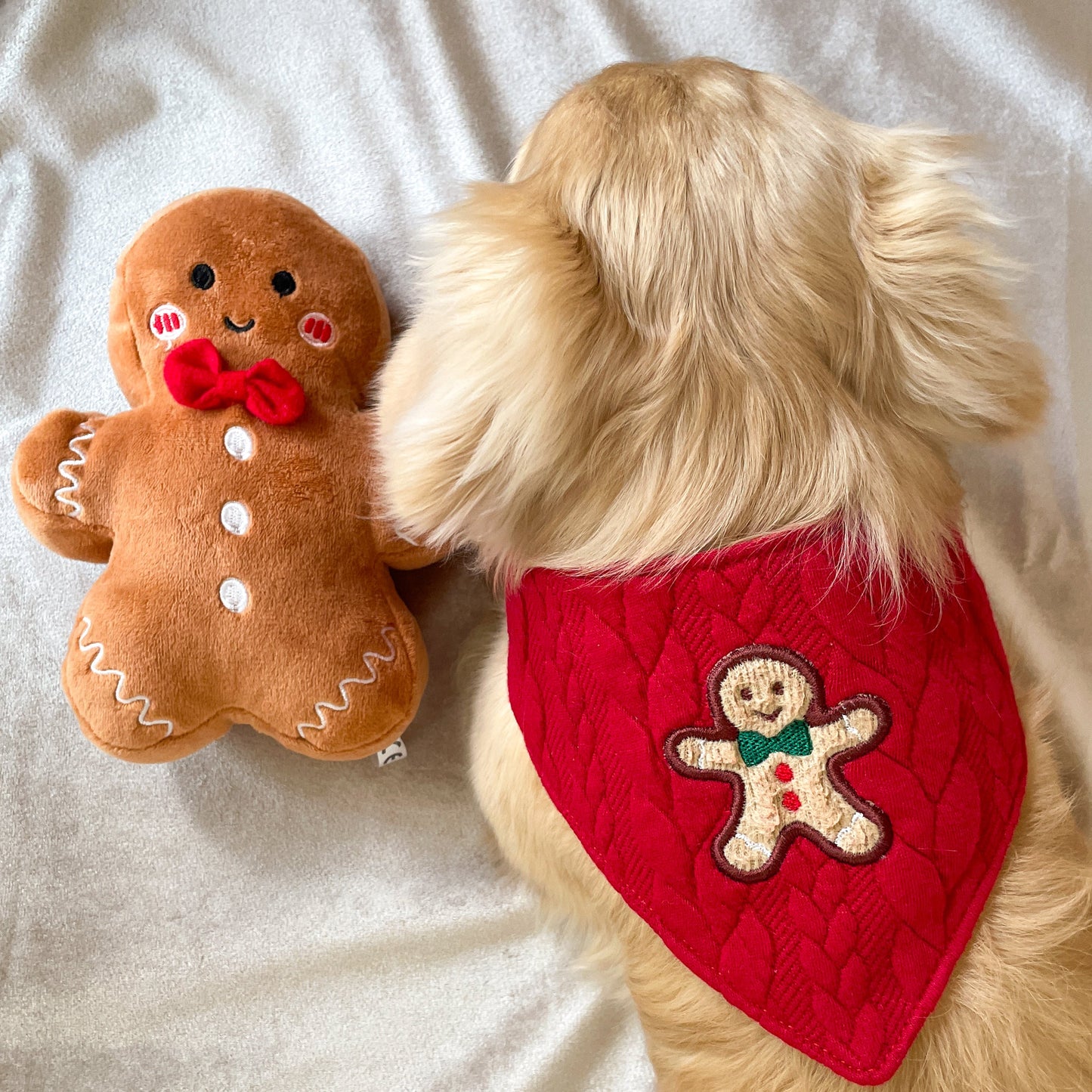 Festive Bandana Bundle