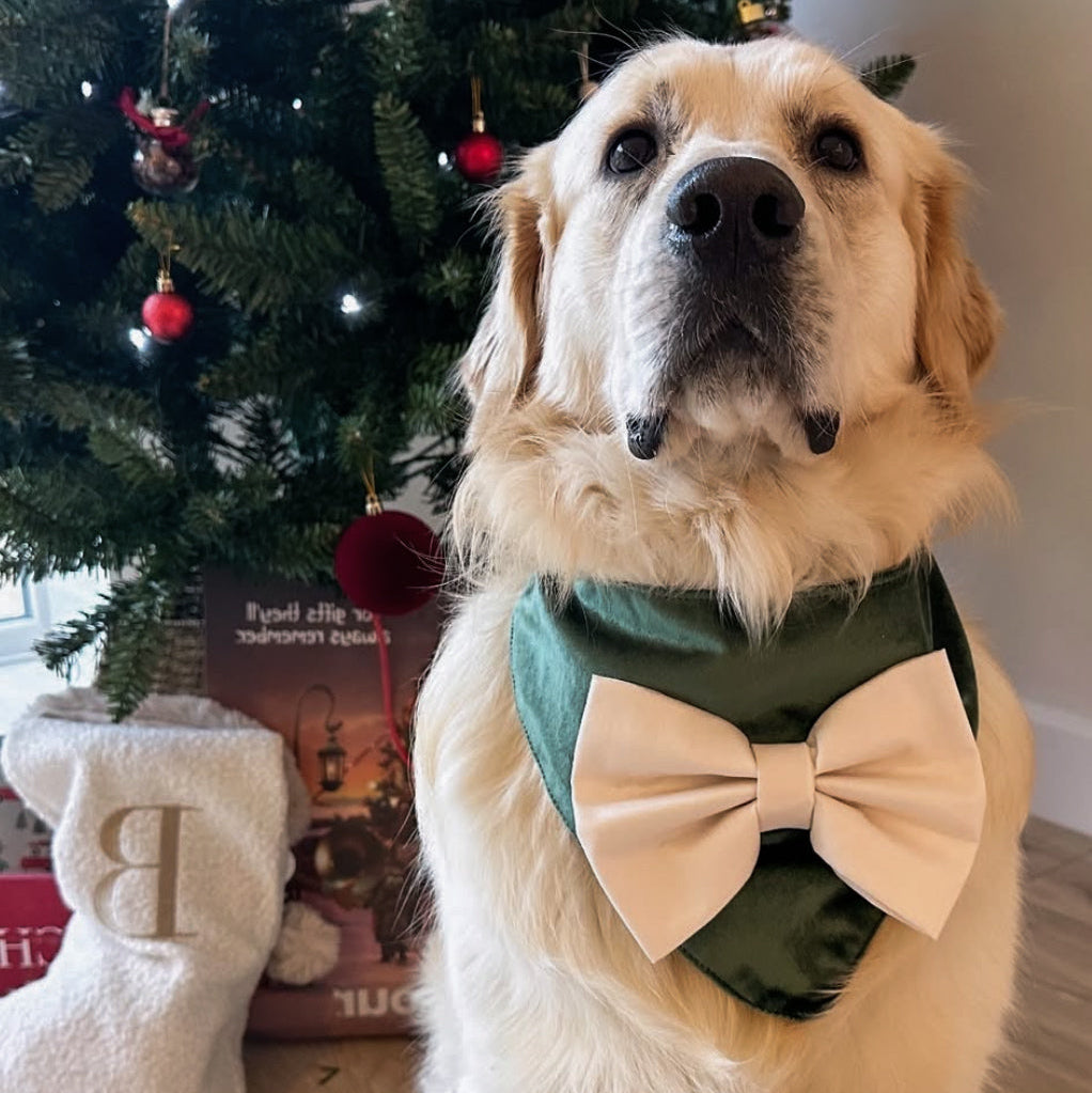 Festive Bandana Bundle