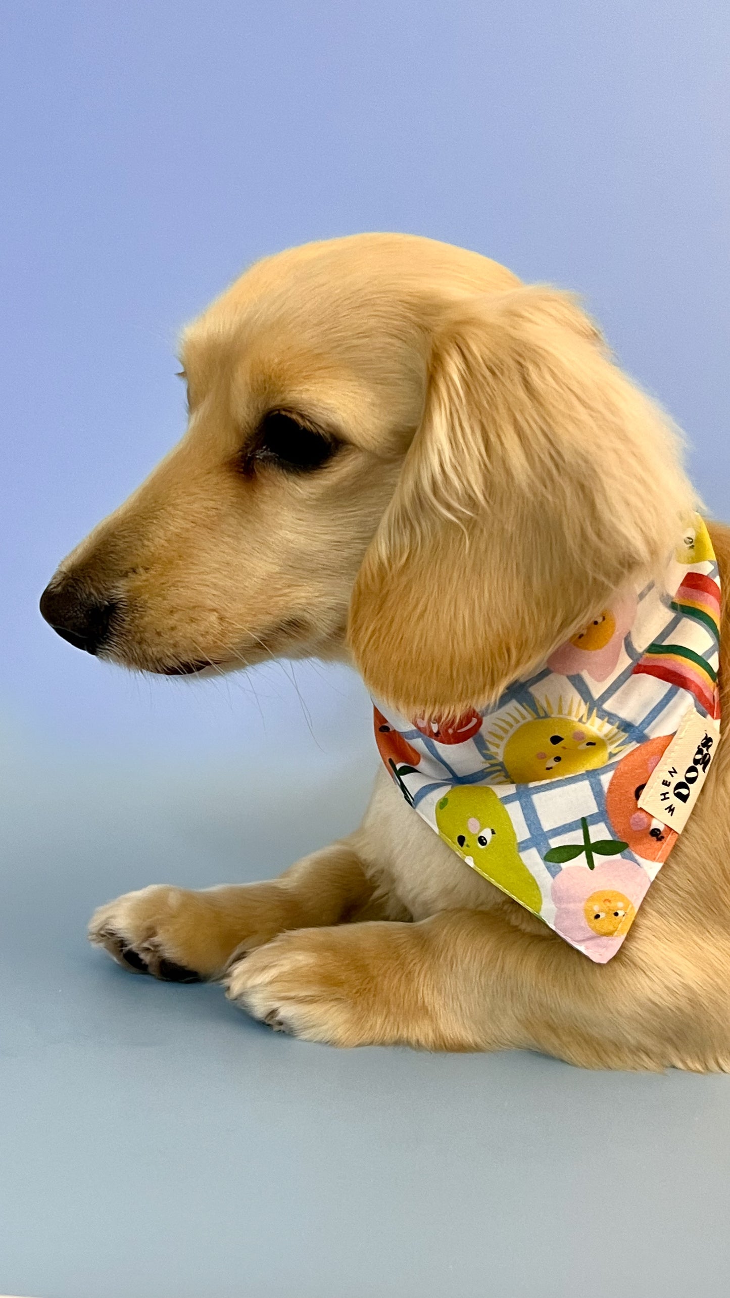 Picnic Pals Bandana