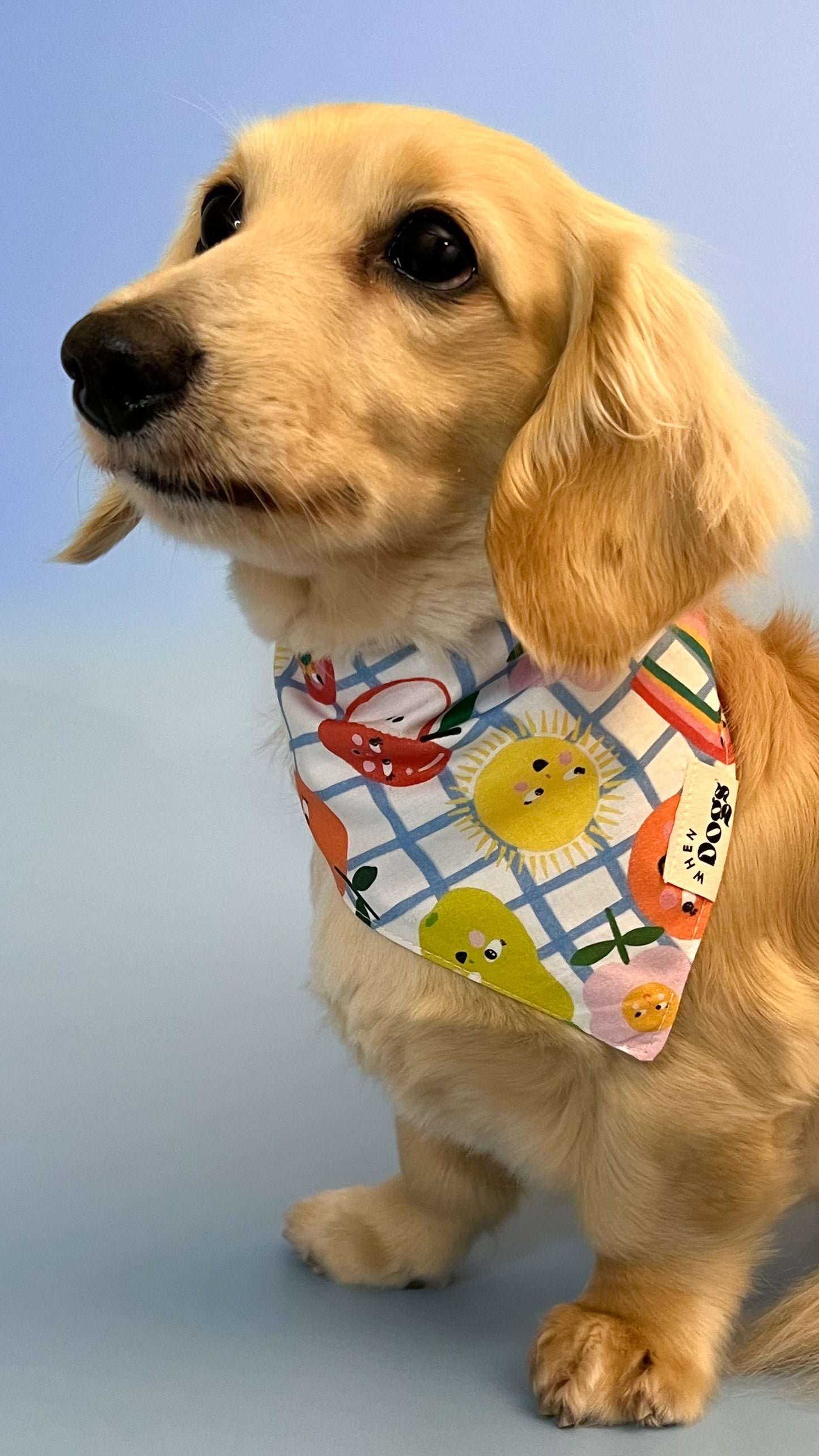 Picnic Pals Bandana